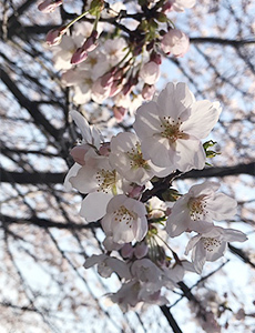 180413_03.jpg