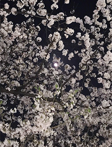 180413_05.jpg