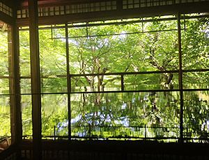 180628_rakuchan_01.jpg