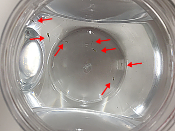 tennouzan0617_02.jpg